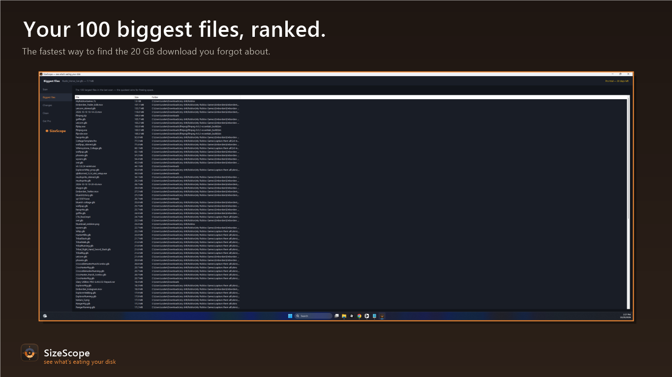 The 100 biggest files in the scan, sorted
